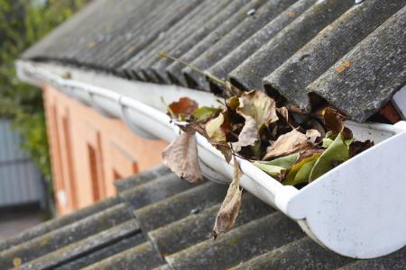 5 Signs It’s Time To Schedule Gutter Cleaning In Rochester